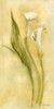Graceful Calla Lilies II Poster Print - Cheri Blum