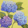 Spring Hydrangeas II Poster Print - Tim OToole