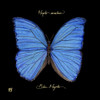 Striking Butterfly I Poster Print - Ginny Joyner