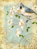 Songbird Sketchbook IV Poster Print - Jane Maday