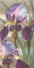 Asian Iris I Poster Print - Jason Higby