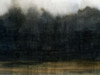 Moody Mossy Treeline I Poster Print - Grace Popp