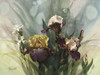Hadfield Irises VI Poster Print - Clif Hadfield
