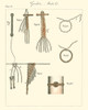 Nautical details III Poster Print - Unknown