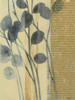 Whisper II Poster Print - Norman Wyatt