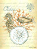 Under The Sea III Poster Print - Sydney Wright