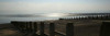 Beach Study II Poster Print - Noah Bay