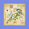 Blooming Garden II Poster Print - Jane Maday
