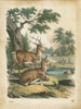 Natures Gathering IV Poster Print - John Wiek