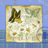 Papillon Plaid I Poster Print - Jane Maday