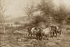 Grazing Cattle Poster Print - George Riecke