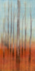 Birch Forest II Poster Print - Jennifer Goldberger