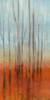Birch Forest I Poster Print - Jennifer Goldberger