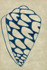 Indigo Shell IV Poster Print - Chariklia Zarris