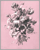 Dussurgey Roses on Pink Poster Print - Chabal Dussurgey