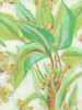 Island Leaf Fresco II Poster Print - June Erica Vess