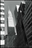 Chrysler Building Poster Print - Laura DeNardo