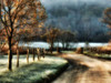 Morning Frost Poster Print - Danny Head