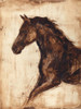 Weathered Equestrian I Poster Print - Ethan Harper