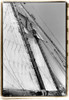 Set Sail I Poster Print - Laura DeNardo