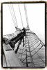 Set Sail IV Poster Print - Laura DeNardo
