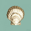 Shell on Aqua III Poster Print - Megan Meagher