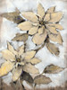 Poinsettia Study I Poster Print - Tim OToole