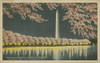 Washington Monument at Night Poster Print - Unknown