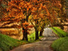 Rainy Morning on Hyatt Lane Poster Print - Danny Head