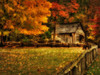 Autumn at the Mill Poster Print - Danny Head