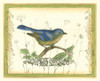 Bird and Wildflowers II Poster Print - Jennifer Goldberger