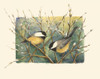 Chickadees and Pussy Willow Poster Print - Janet Mandel