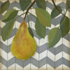 Fruit and Pattern II Poster Print - Megan Meagher