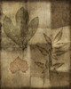 Custom Impressed on Patina II Poster Print - Nancy Slocum