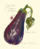Eggplant Solanum Melongena Poster Print - Elissa Della-Piana