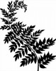 Leaf Silhouette III Poster Print - Chariklia Zarris