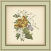 Tuscany Bouquet IX Poster Print - Unknown