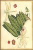 Floral Fantasia V Poster Print - Unknown