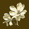 Magnolia on Taupe I Poster Print - Unknown
