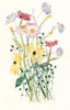 Wildflower Watercolor II Poster Print - Grace Popp