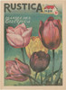 Plantez Des Tulips Poster Print - Unknown