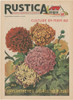 Plantez Des Chrysanthemes Poster Print - Unknown
