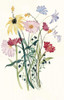 Wildflower Watercolor I Poster Print - Grace Popp