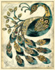 Royal Peacock II Poster Print - Chariklia Zarris
