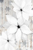 Sophisticated Christmas Collection F Poster Print - Grace Popp