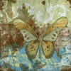 Rustic Butterfly II Poster Print - Jennifer Goldberger