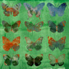 Butterflies on Green Poster Print - Sisa Jasper