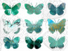 Layered Butterflies I Poster Print - Sisa Jasper