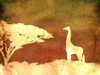 Safari Sunrise IV Poster Print - Pam Ilosky