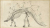 Dinosaur Study III Poster Print - Ethan Harper